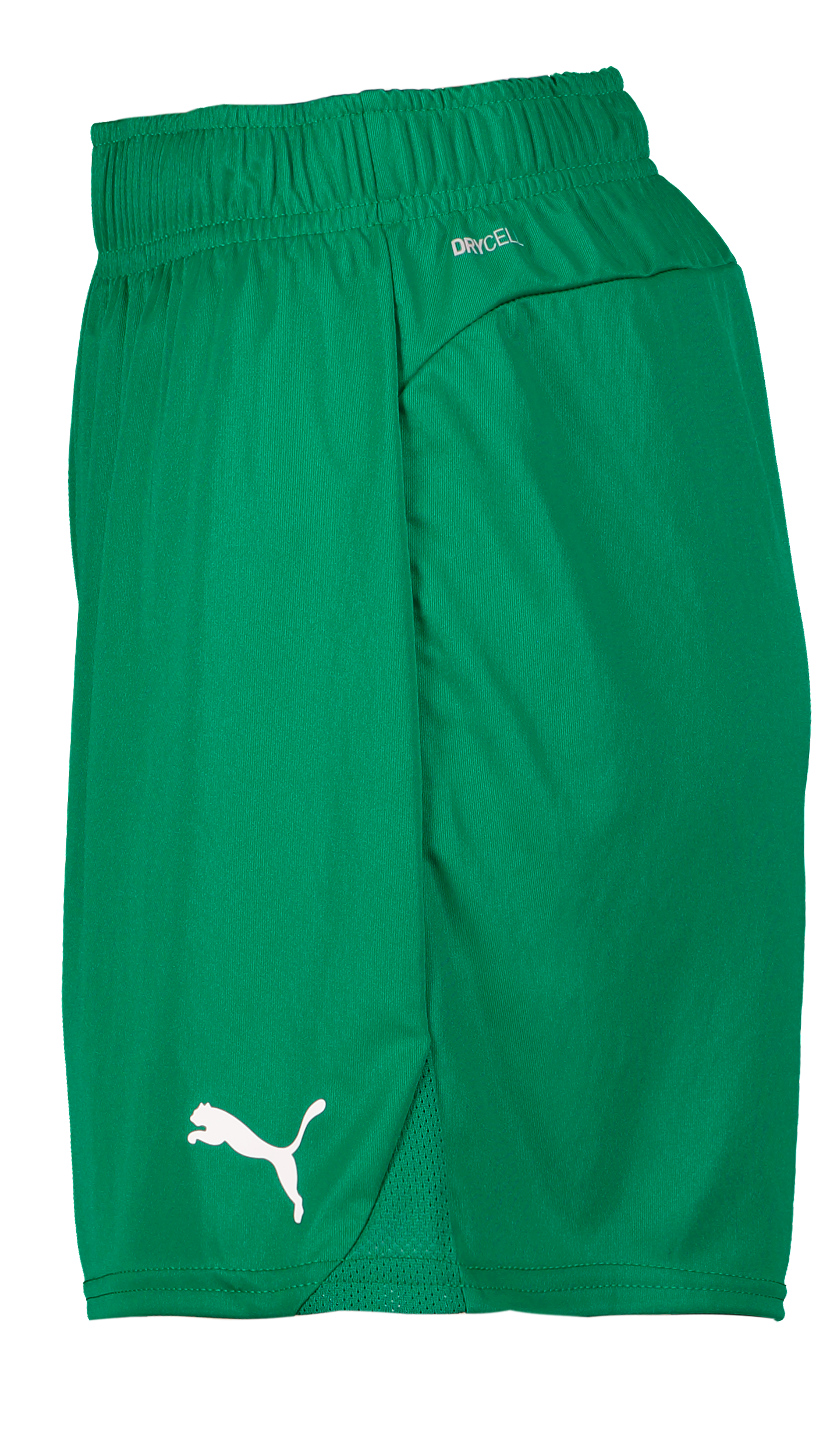 PUMA, T Goal Shorts Wmns