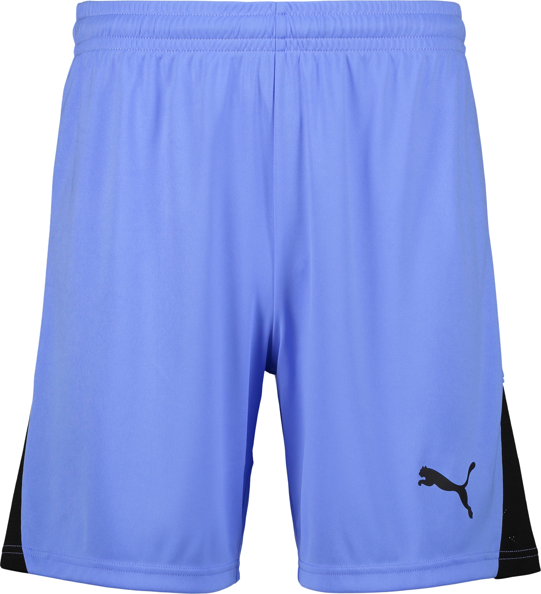 
PUMA, 
TEAMLIGA26 SHORTS JR, 
Detail 1
