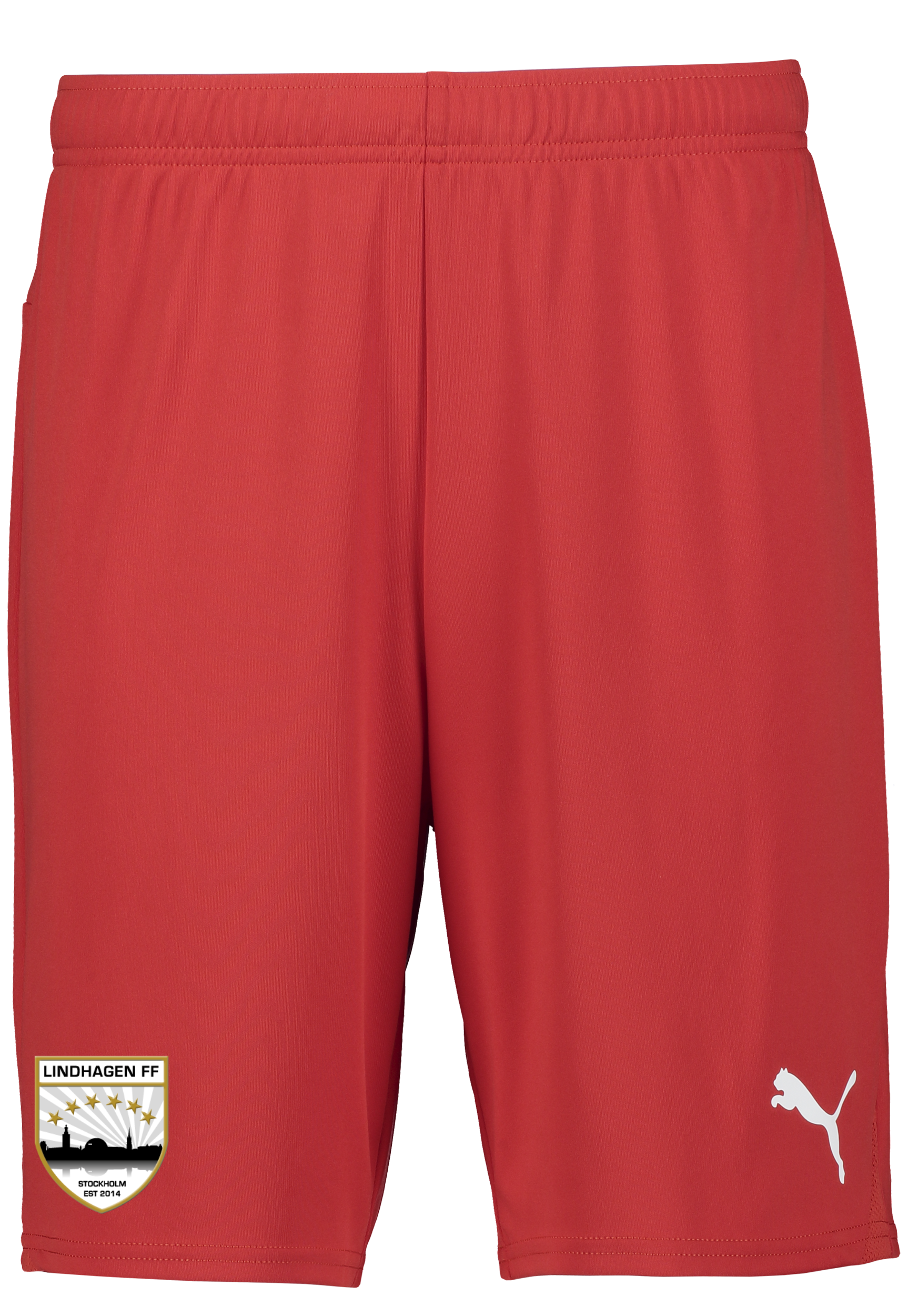 
PUMA, 
T Goal Shorts, 
Detail 1

