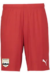 391942101101 PUMA T Goal Shorts 391942101101 PUMA T Goal Shorts Standard Small1x1