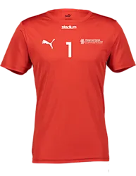 397379101101 PUMA T Rise Matchday Jsy 397379101101 PUMA T Rise Matchday Jsy Standard Small1x1