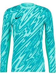 Gardien V Gk Ls Jsy Jr - Turquise/Teal Standard Small1x1
