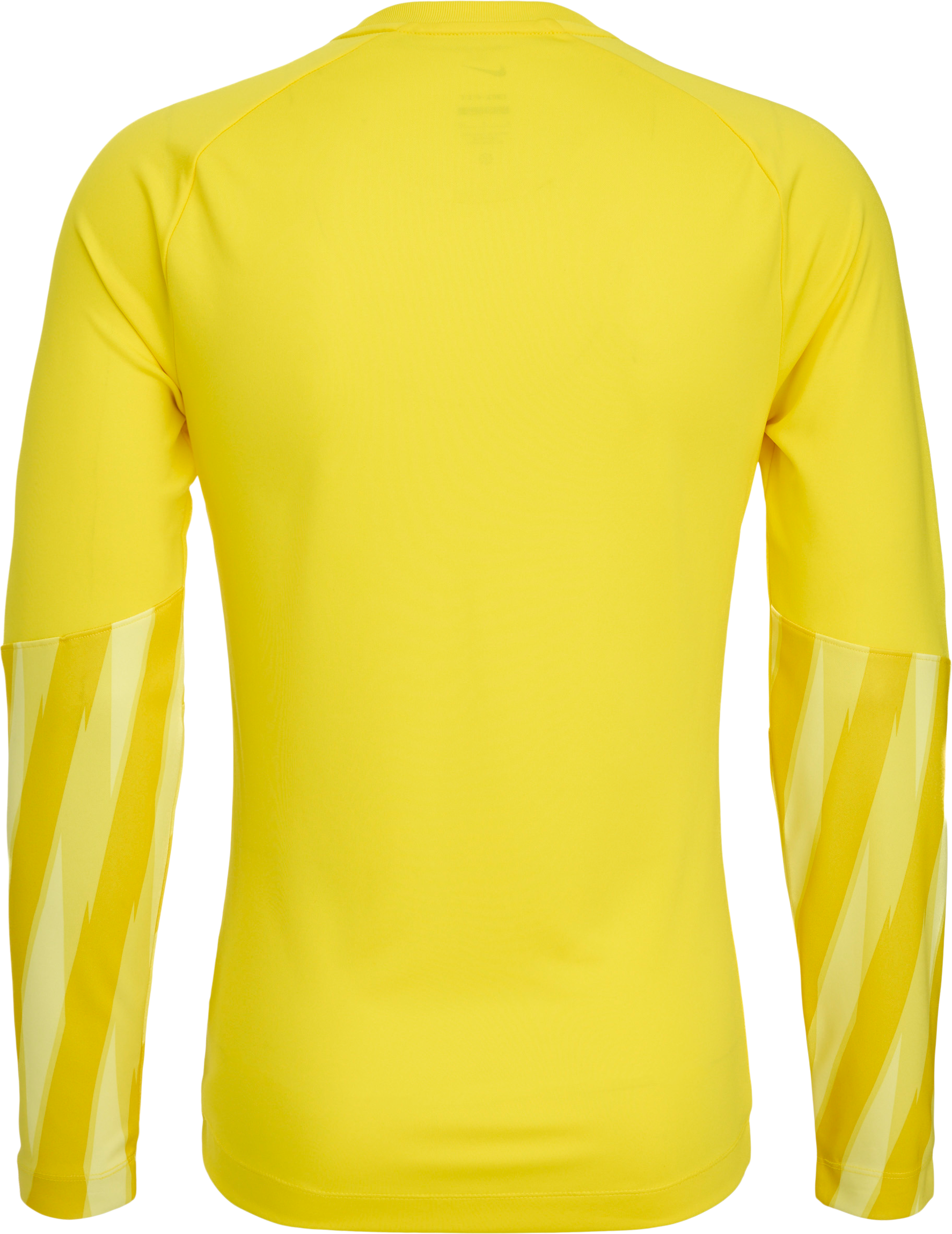 NIKE, PARK V GK LS JSY JR