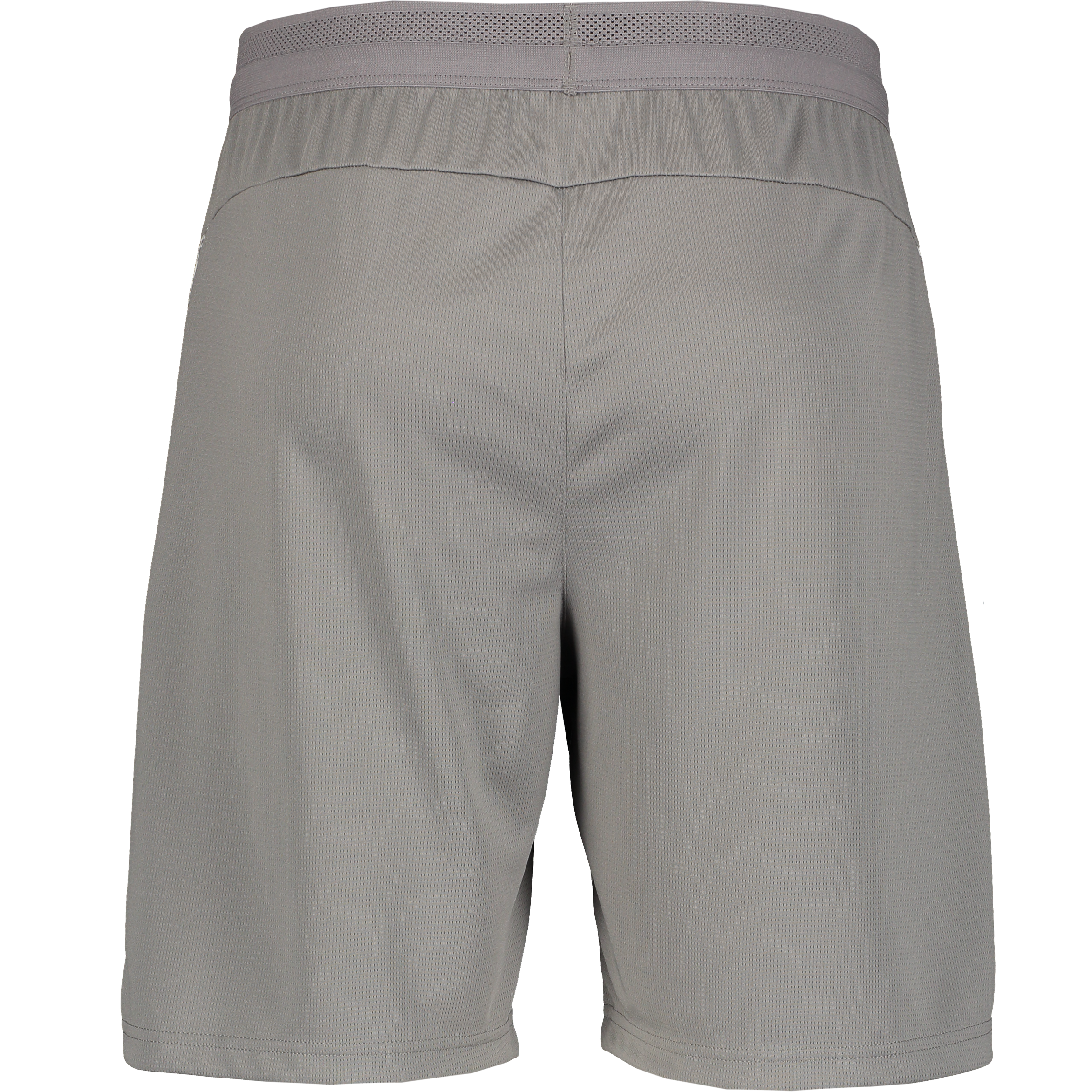 PUMA, Teamcup Training Shorts