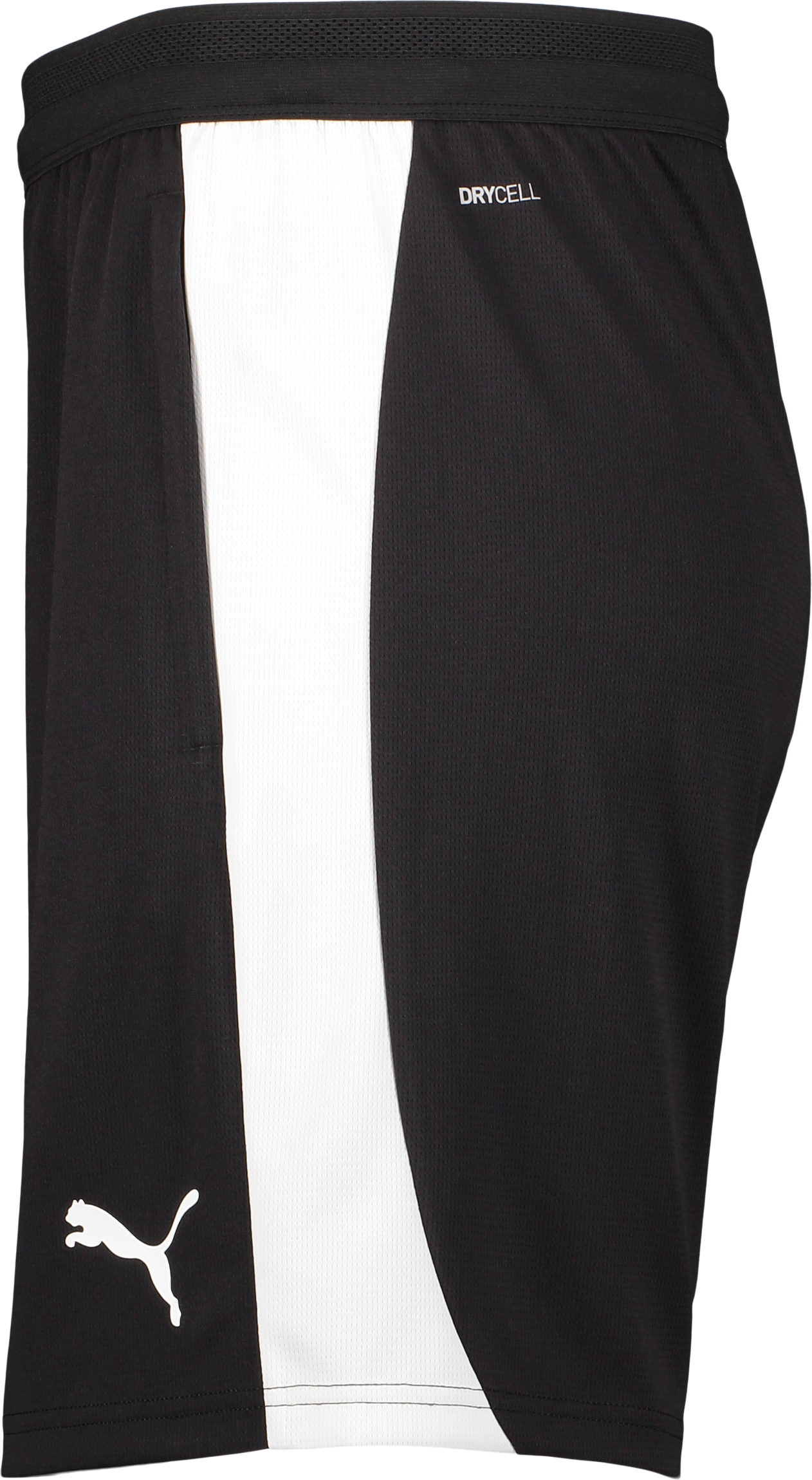 PUMA, TEAMFINAL26 TRAINING SHORTS