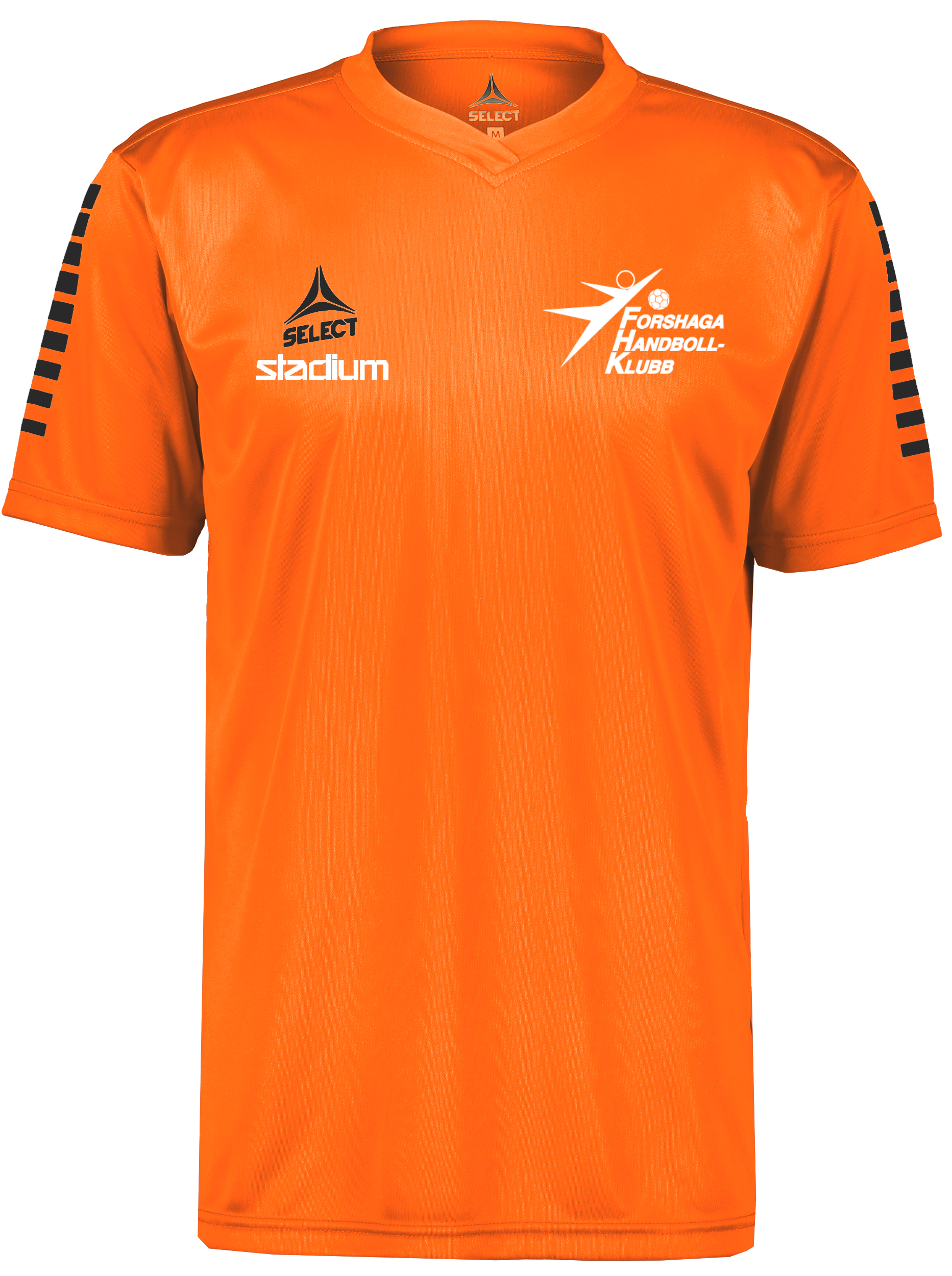 
SELECT, 
Pisa Ss Jsy , 
Detail 1
