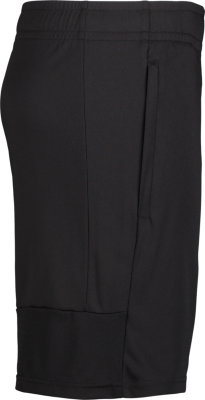 PUMA, TEAMLIGA TRAINING SHORTS