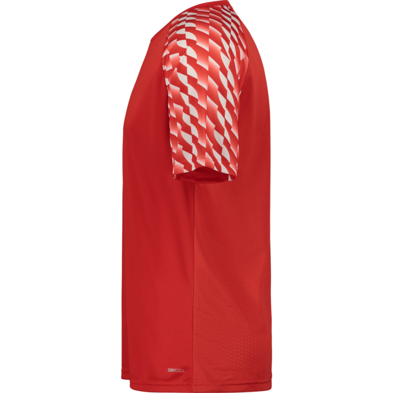 PUMA, TEAMLIGA26 JERSEY