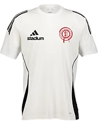390923108101 ADIDAS Tiro24 Jsy 390923108101 ADIDAS Tiro24 Jsy Standard Small1x1