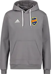 358922104101 ADIDAS Ent22 Hoody 358922104101 ADIDAS Ent22 Hoody Standard Small1x1