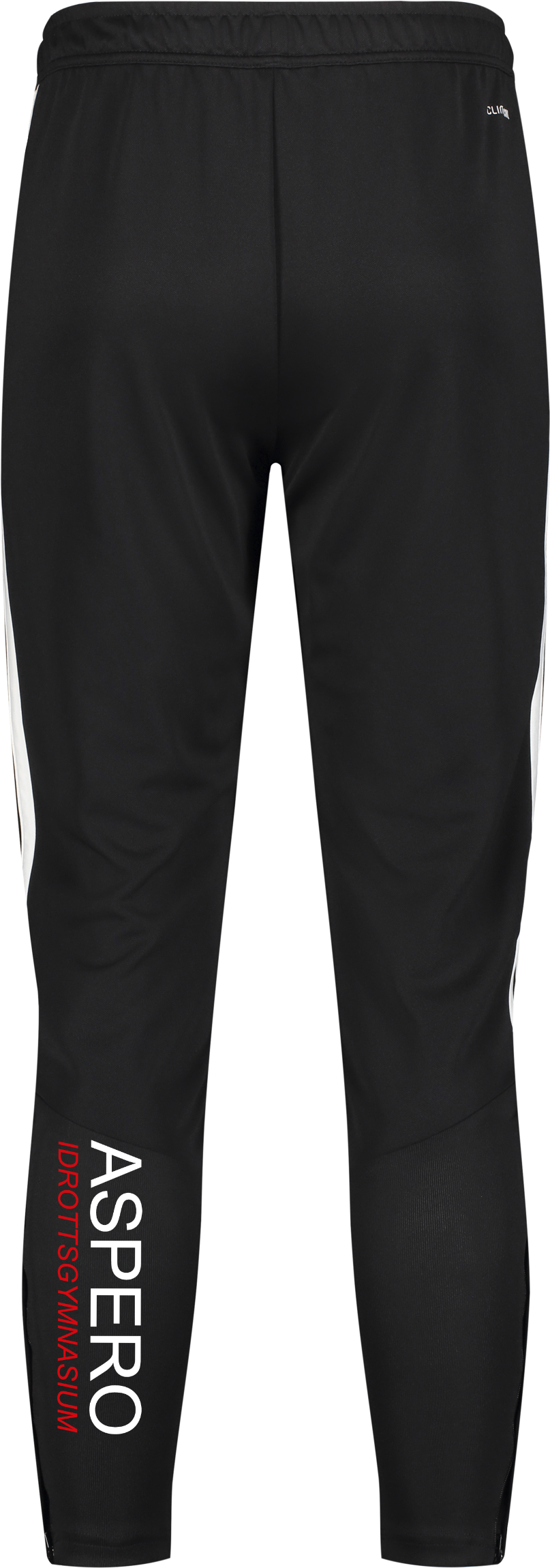 ADIDAS, TIRO26 L PNT