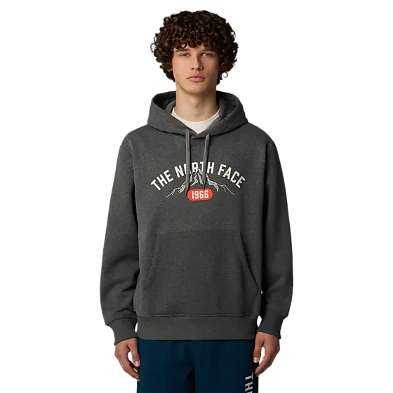 396077102102 THE NORTH FACE M Hoodie Varsity Graphic 396077102102 THE NORTH FACE M Hoodie Varsity Graphic Model01 Detail