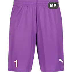 392286113101 PUMA T Goal Shorts Jr 392286113101 PUMA T Goal Shorts Jr Standard Small1x1