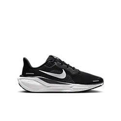 393726101107 NIKE J Air Zoom Pegasus 41 Gs 393726101107 NIKE J Air Zoom Pegasus 41 Gs Standard Small1x1