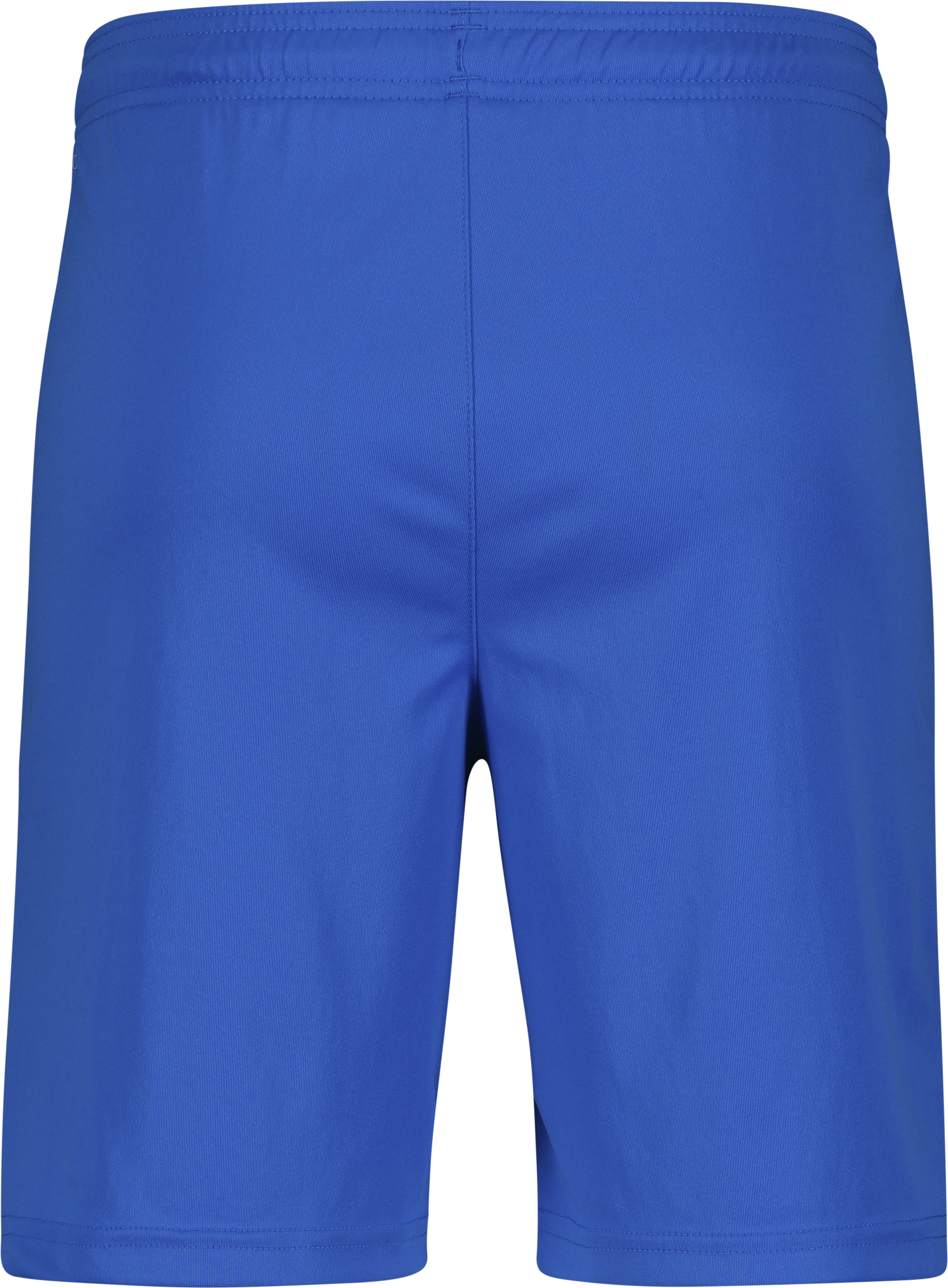 PUMA, T Liga Shorts Jr