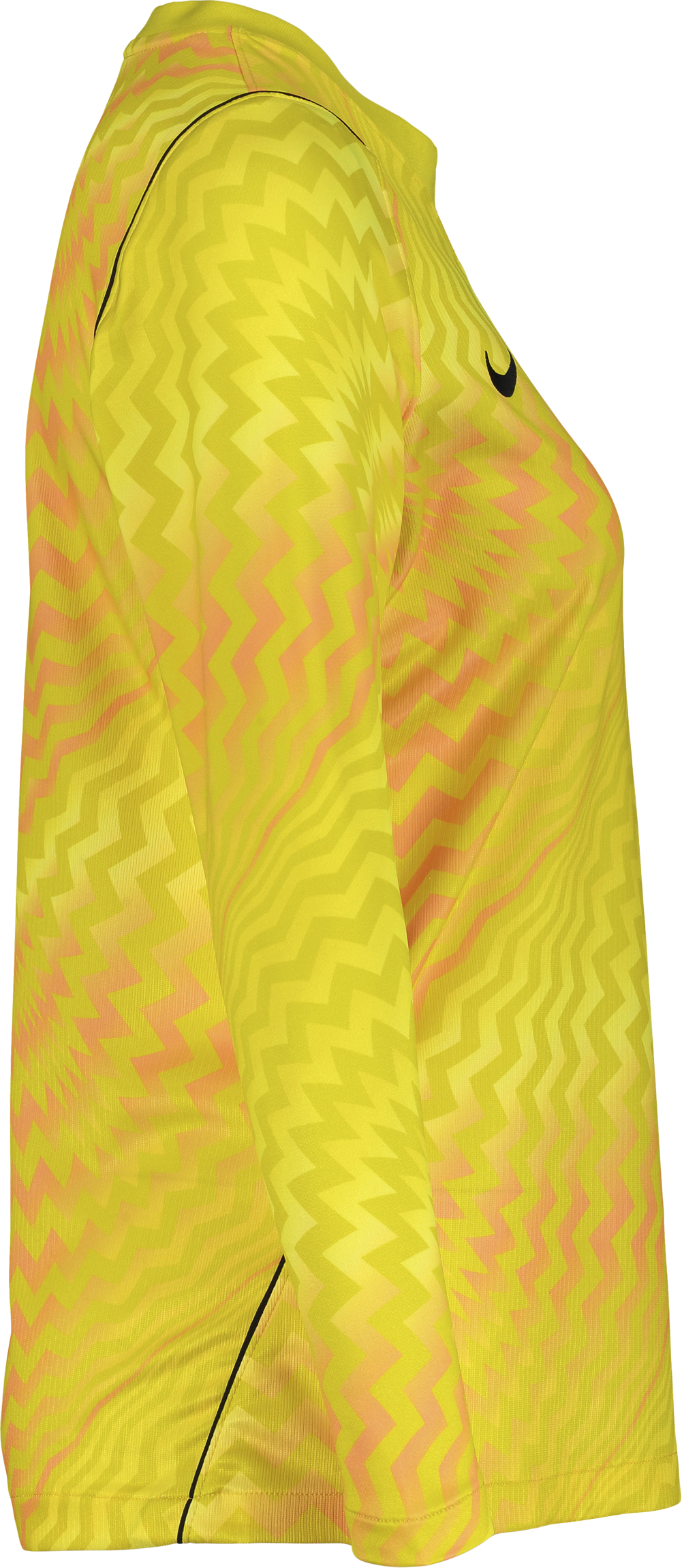 NIKE, GARDIEN VI GK LS JSY W