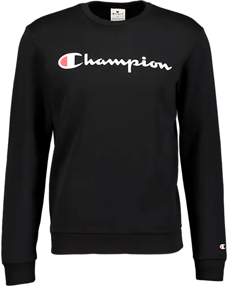 Intersport Outlet T Shirt Champion Intersport T-Shirt Nike FFF