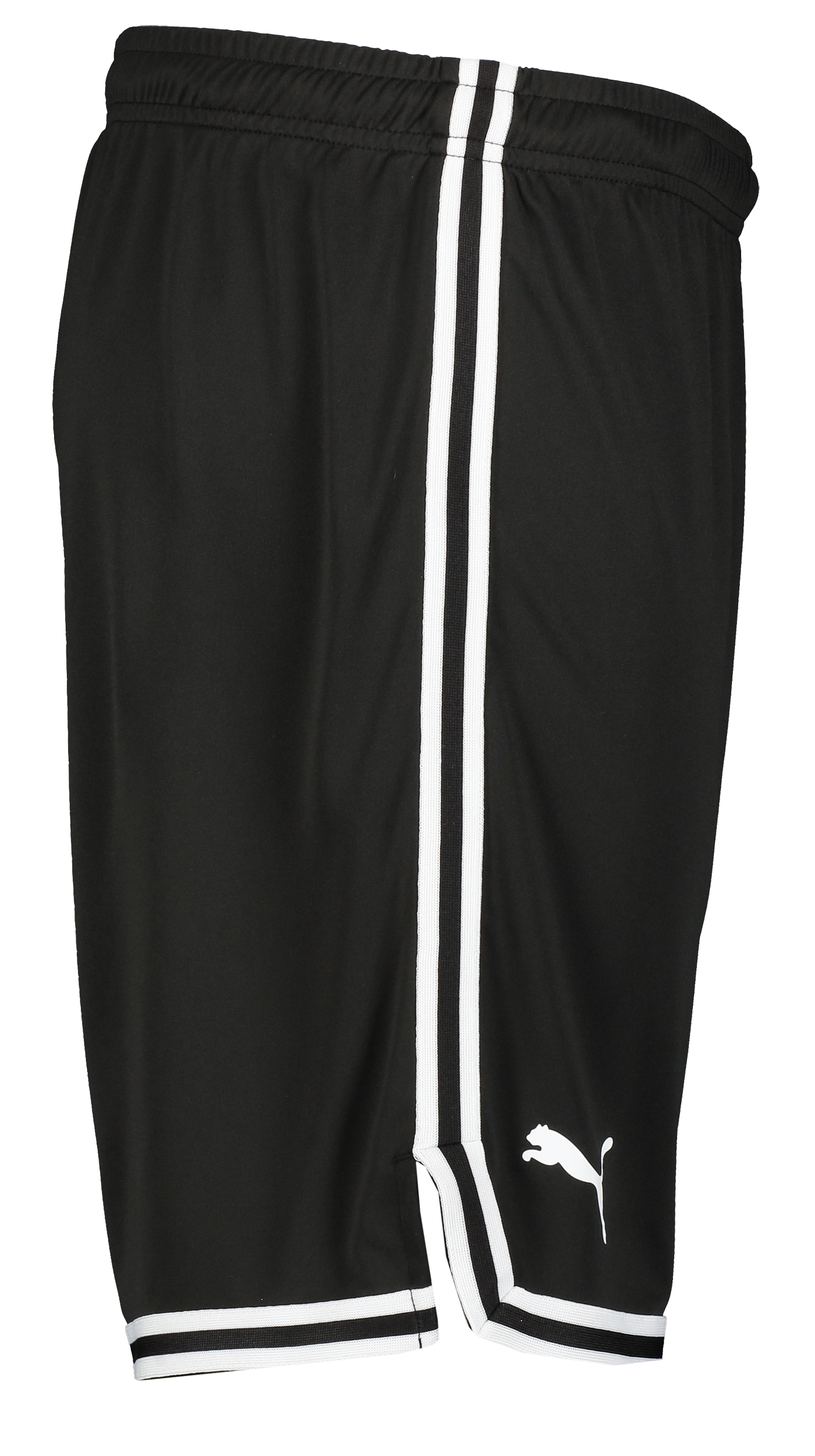 PUMA, Hoops Team Game Short