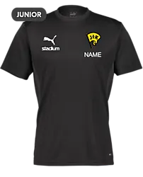 392096103101 PUMA T Goal Trg Jsy Jr 392096103101 PUMA T Goal Trg Jsy Jr Standard Small1x1