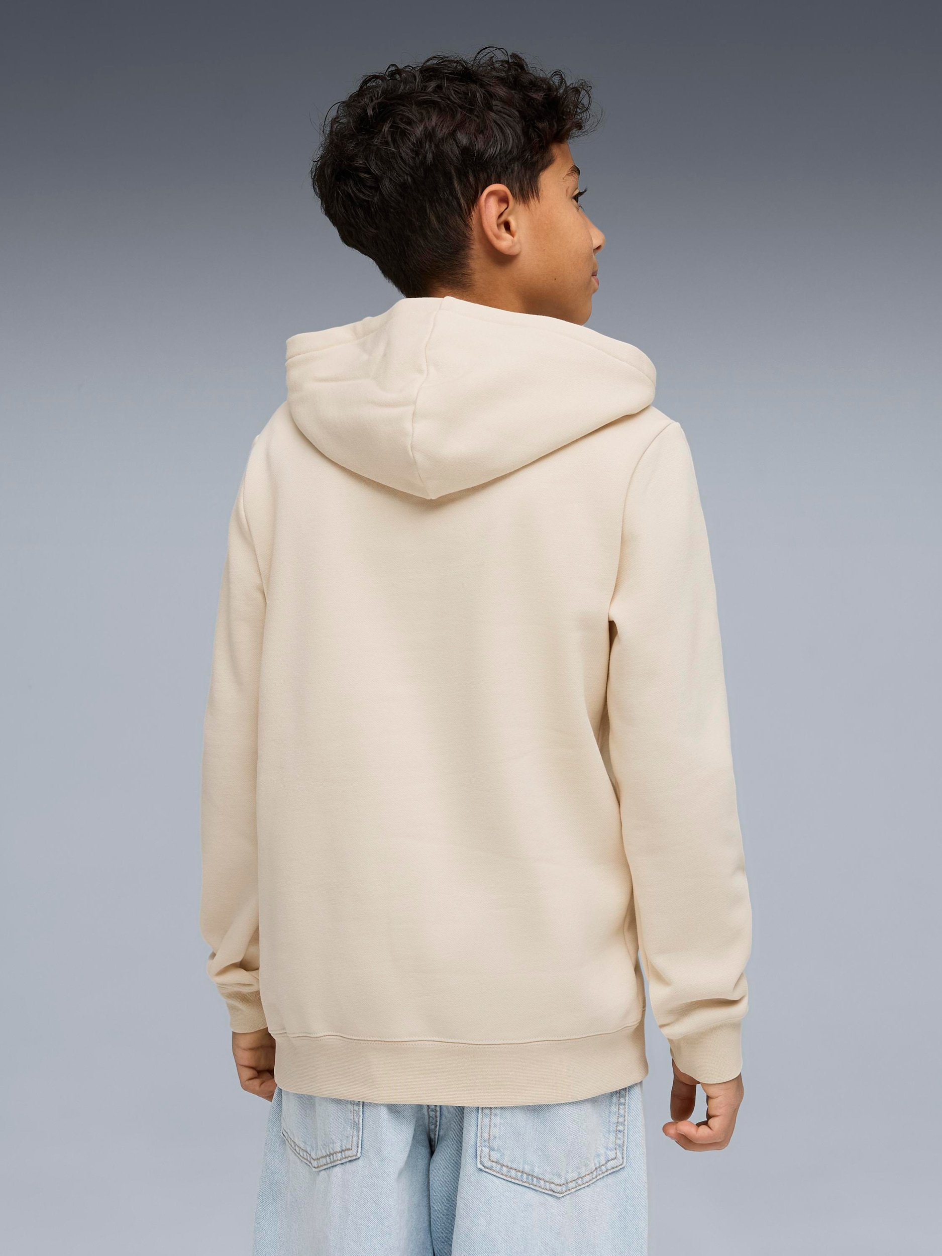 PUMA, J ESS SMALL NO.1 LOGO CENTERED HOODIE FL B