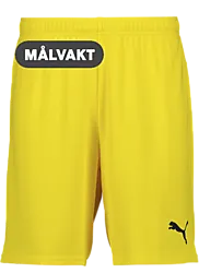 391942107101 PUMA T Goal Shorts 391942107101 PUMA T Goal Shorts Standard Small1x1