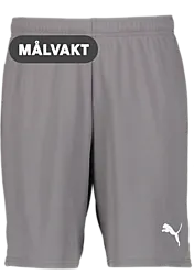 392286108101 PUMA T Goal Shorts Jr 392286108101 PUMA T Goal Shorts Jr Standard Small1x1