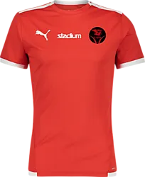 358884101101 PUMA T Liga Ss Jsy 358884101101 PUMA T Liga Ss Jsy Standard Small1x1