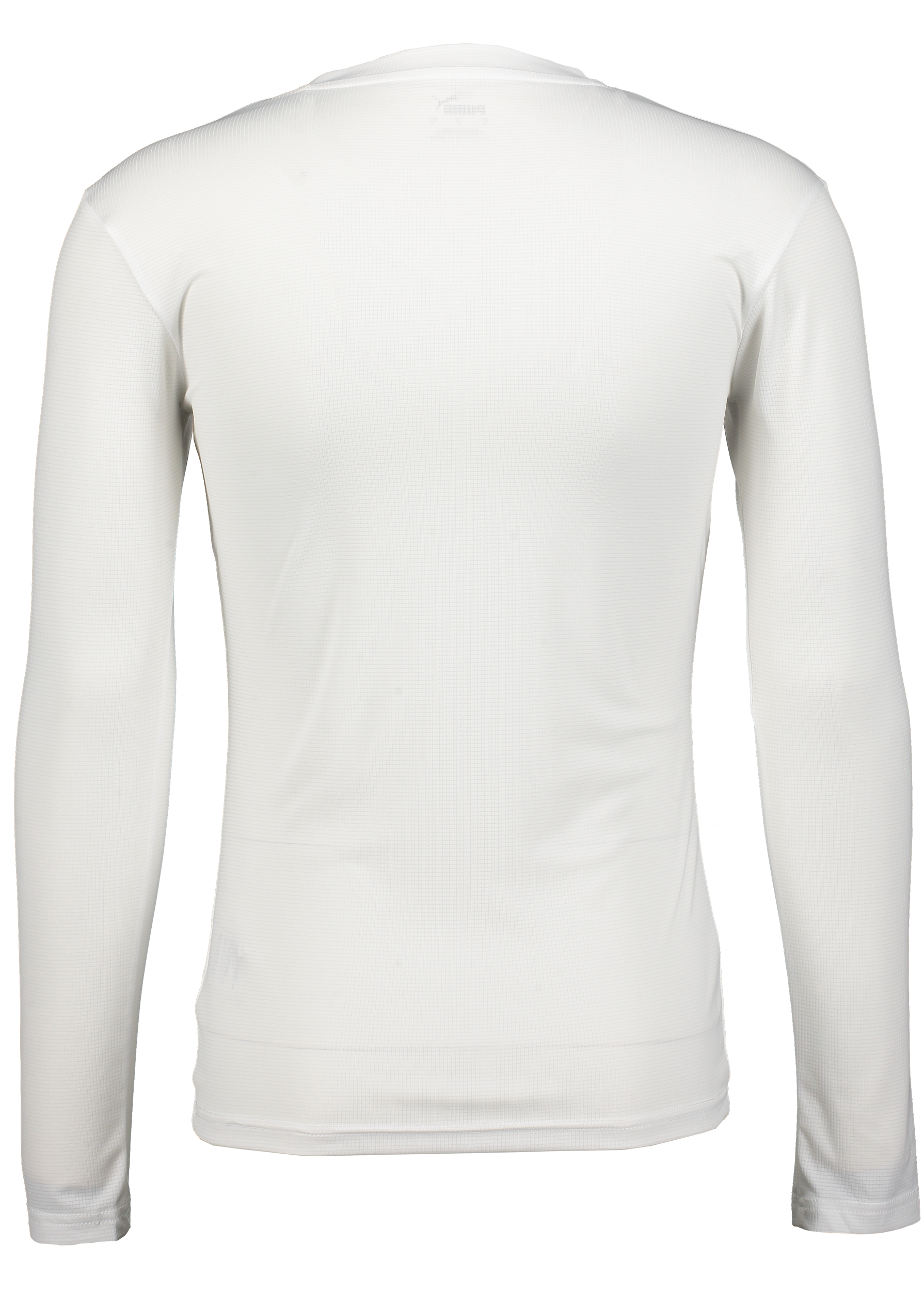 PUMA, T Goal Bl Ls Jsy Jr