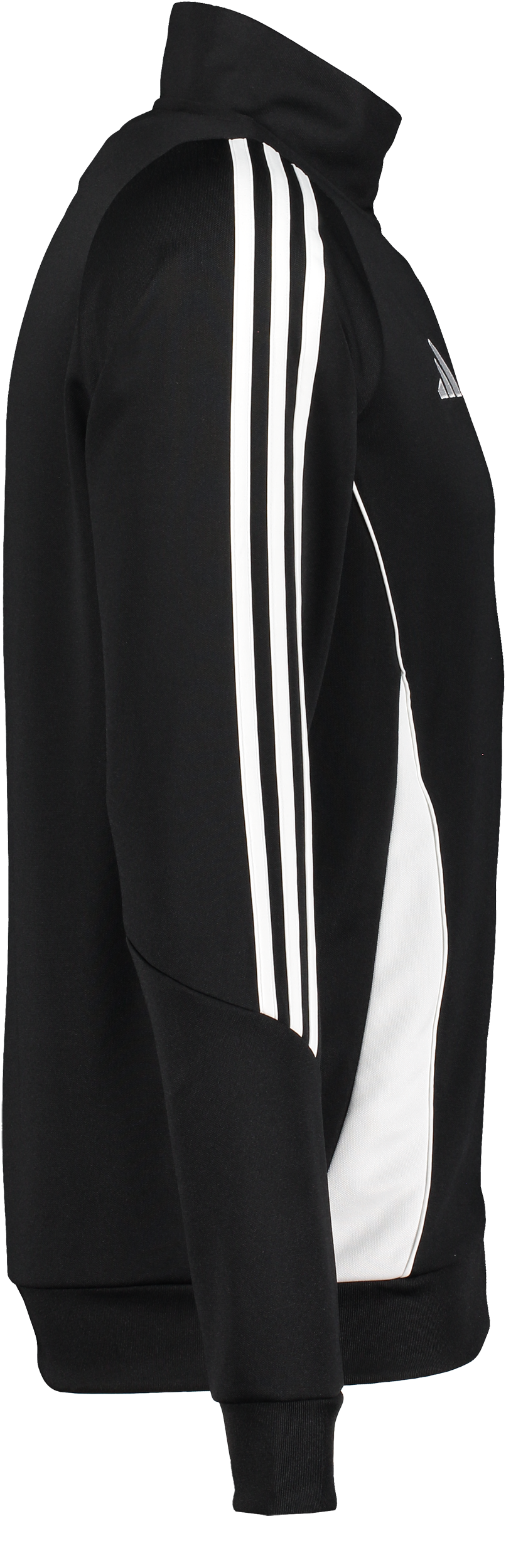 ADIDAS, Tiro24 Tr Jkt