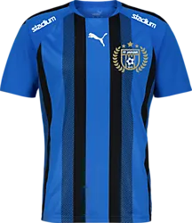 360819102101 PUMA T Liga Striped Jsy 360819102101 PUMA T Liga Striped Jsy Standard Small1x1