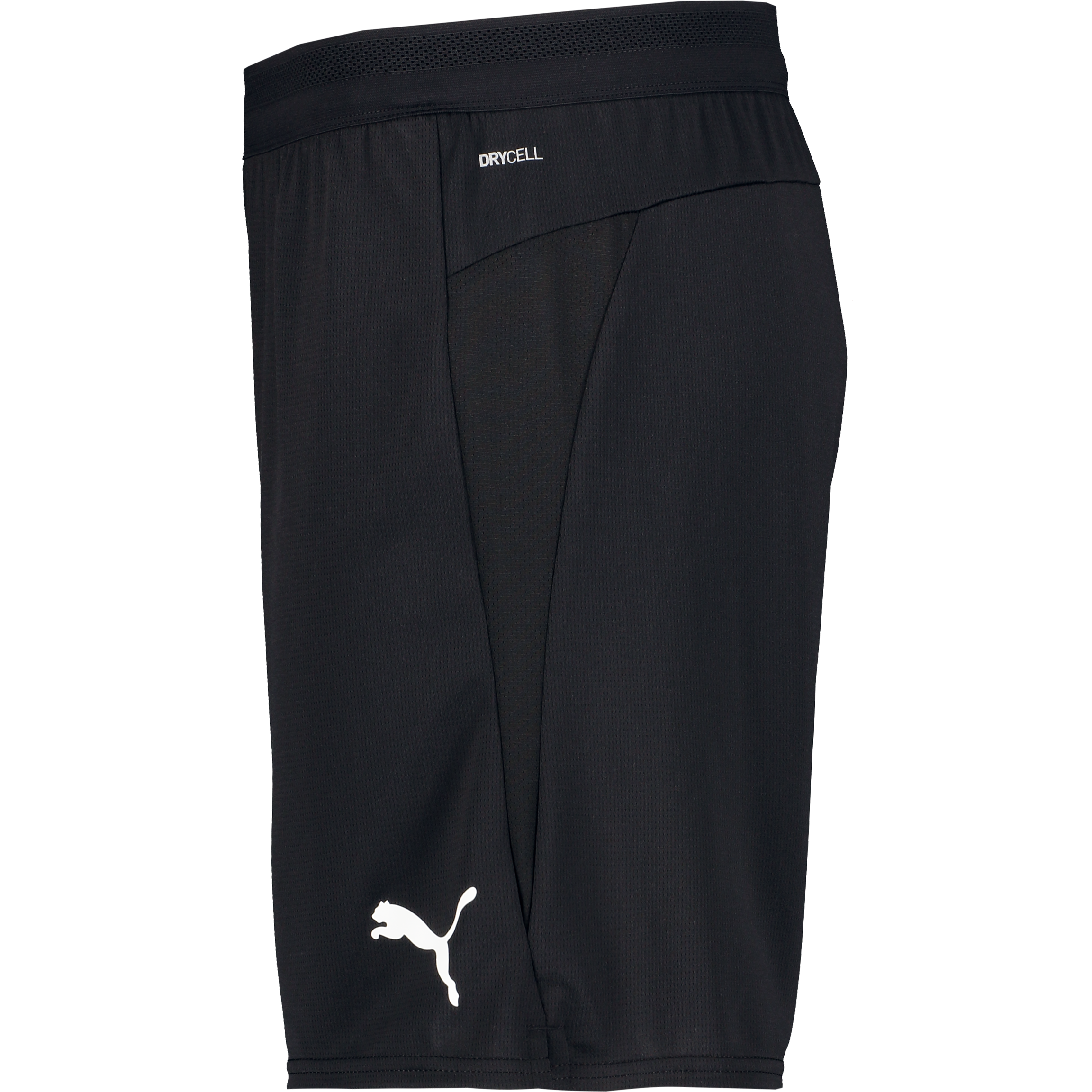 PUMA, Teamcup Shorts