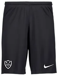 298936101101 NIKE Park III Short 298936101101 NIKE Park III Short Standard Small1x1