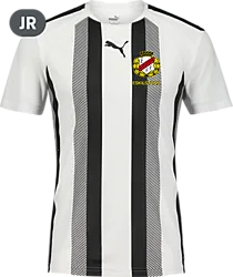 360820103101 PUMA T Liga Striped Jsy Jr 360820103101 PUMA T Liga Striped Jsy Jr Standard Small1x1