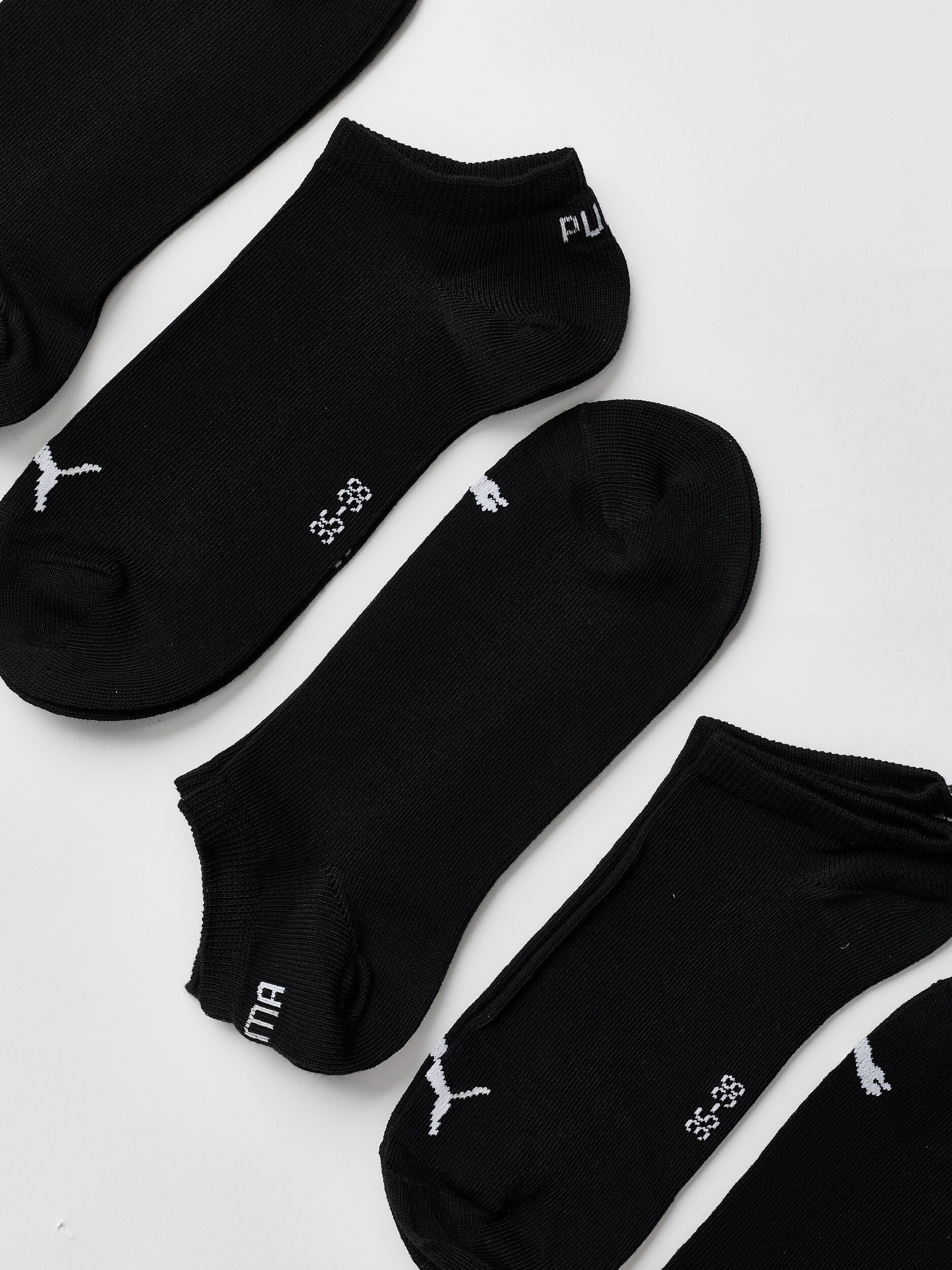 PUMA, U SNEAKER PROMO 6P