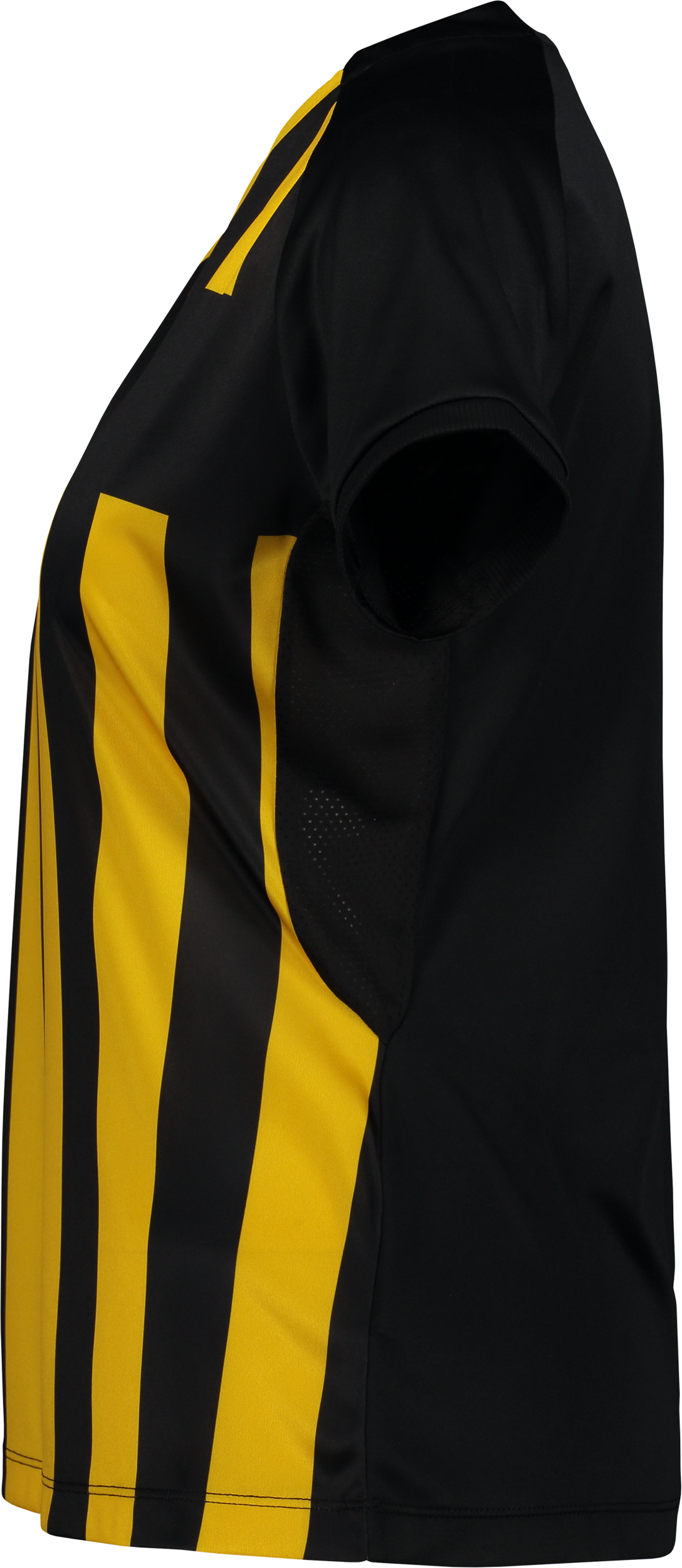 CRAFT, Prog 2.0 Striped Jsy W