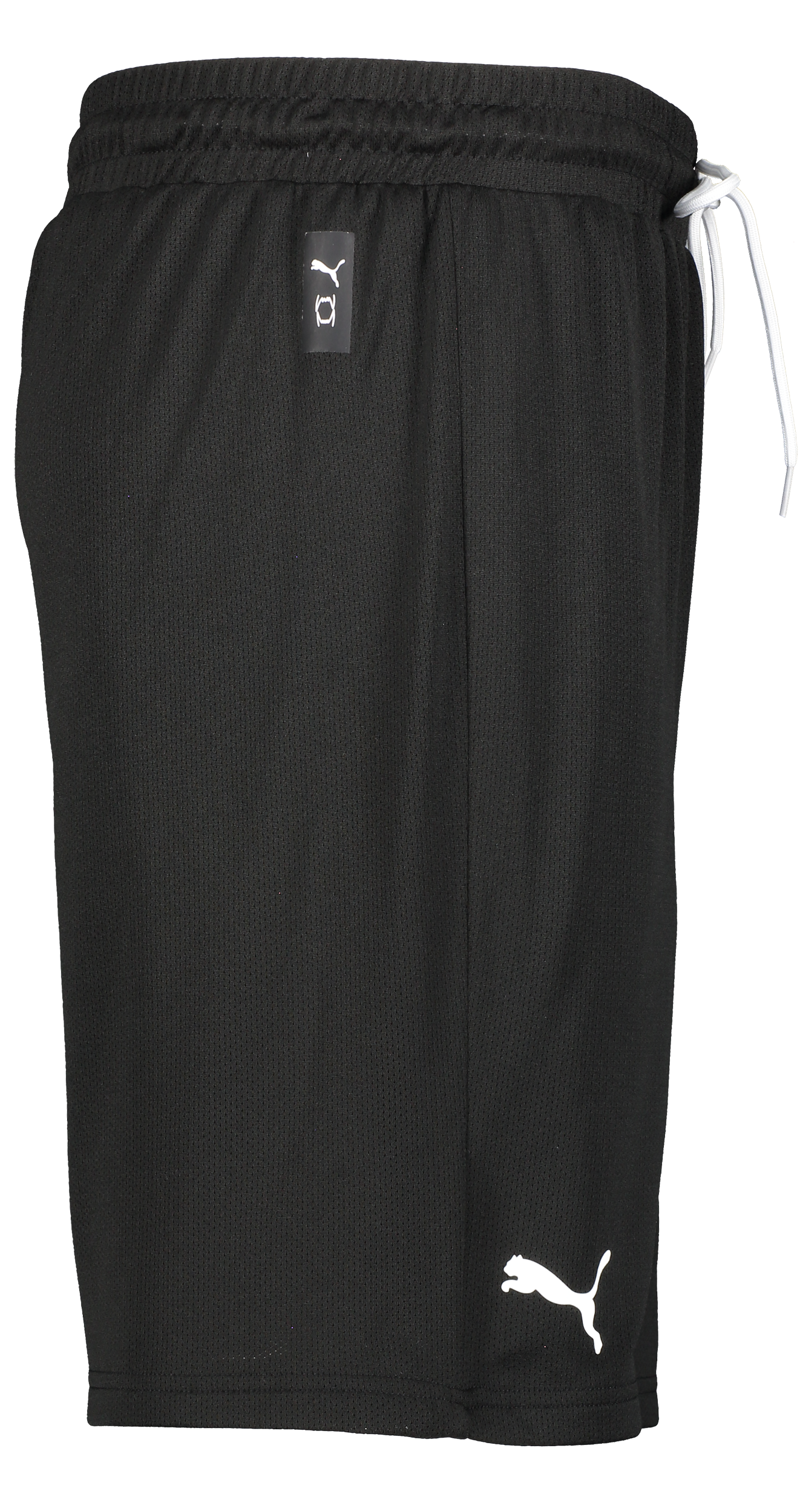 PUMA, Hoops Team Practice Short