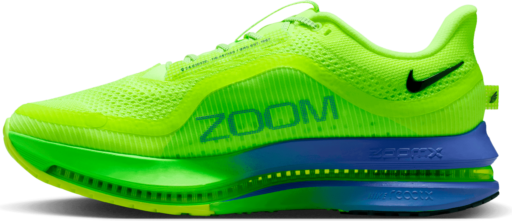 NIKE, M Pegasus Premium