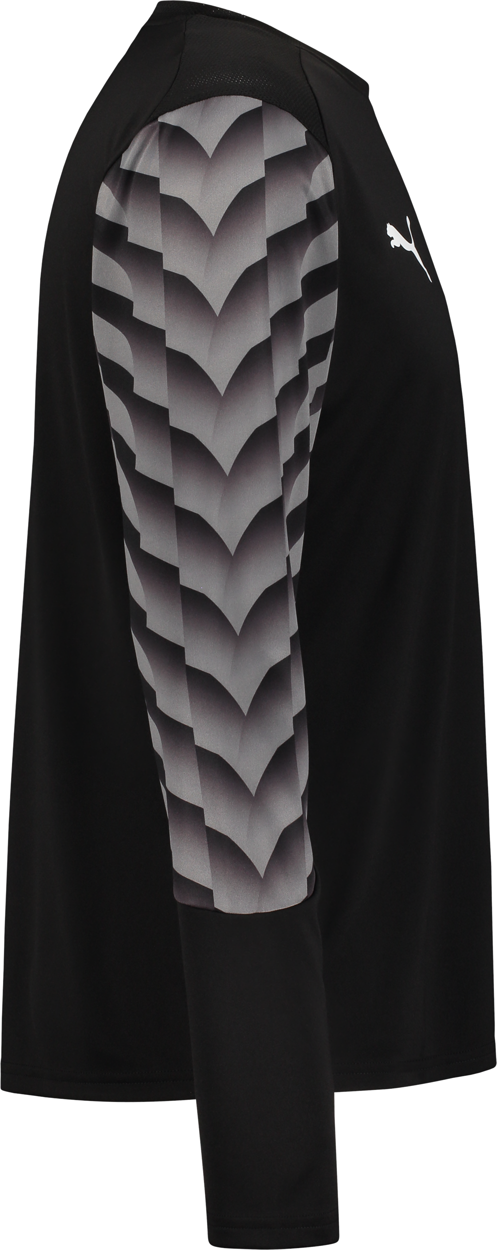 PUMA, TEAMLIGA26 GK JERSEY LS JR