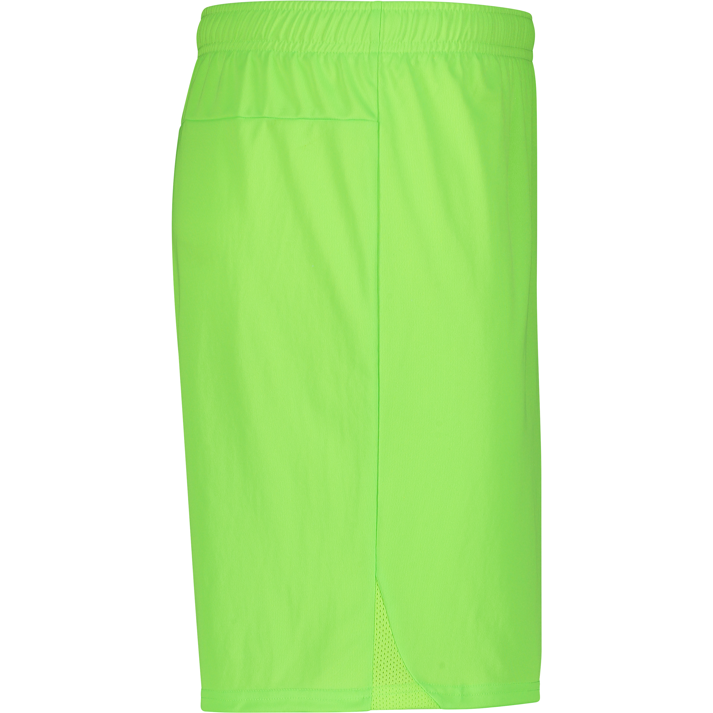 PUMA, T Goal Shorts