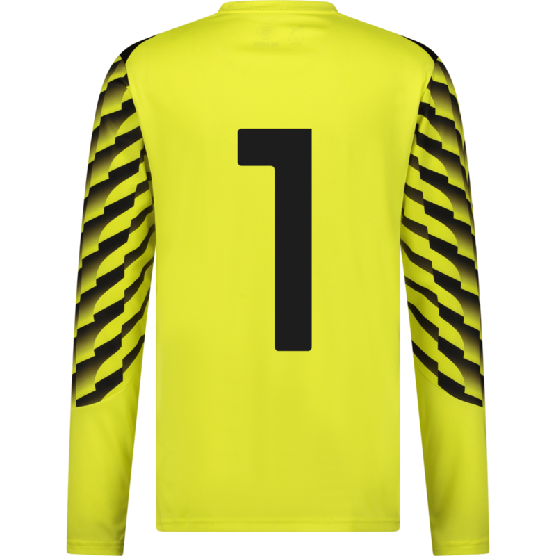 PUMA, TEAMLIGA26 GK JERSEY LS