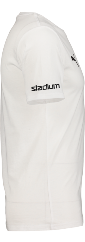 PUMA, T Goal Casuals Tee