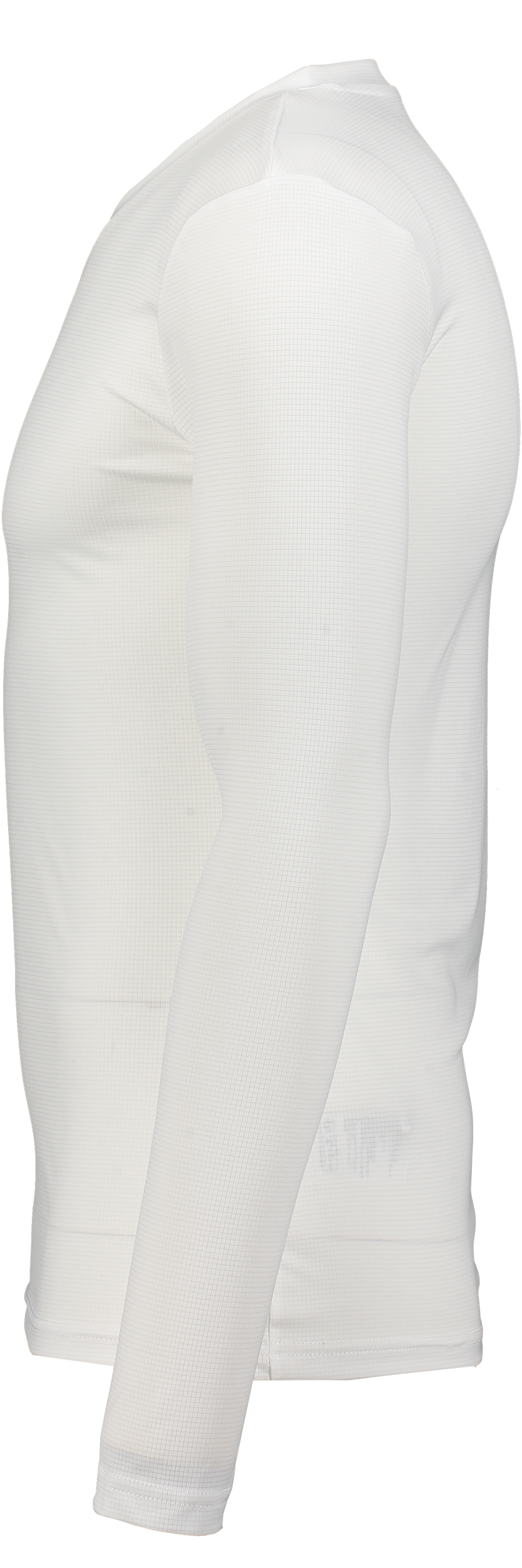 PUMA, T Goal Bl Ls Jsy Jr