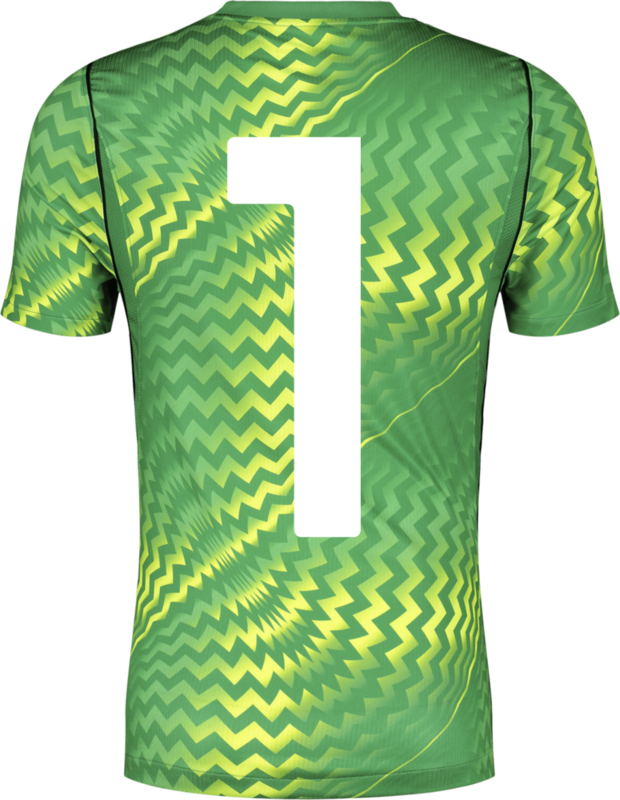 NIKE, GARDIEN VI GK SS JSY