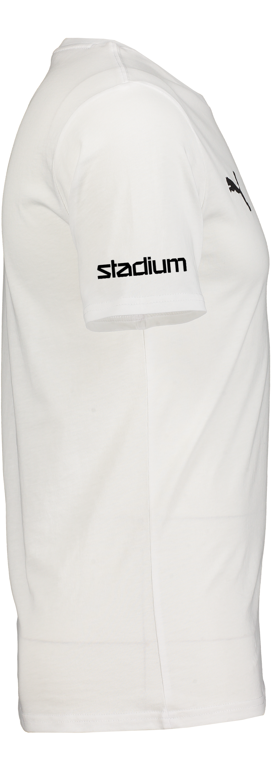 PUMA, T Goal Casuals Tee