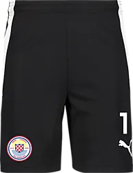 361522103101 PUMA T Liga Shorts 361522103101 PUMA T Liga Shorts Standard Small1x1