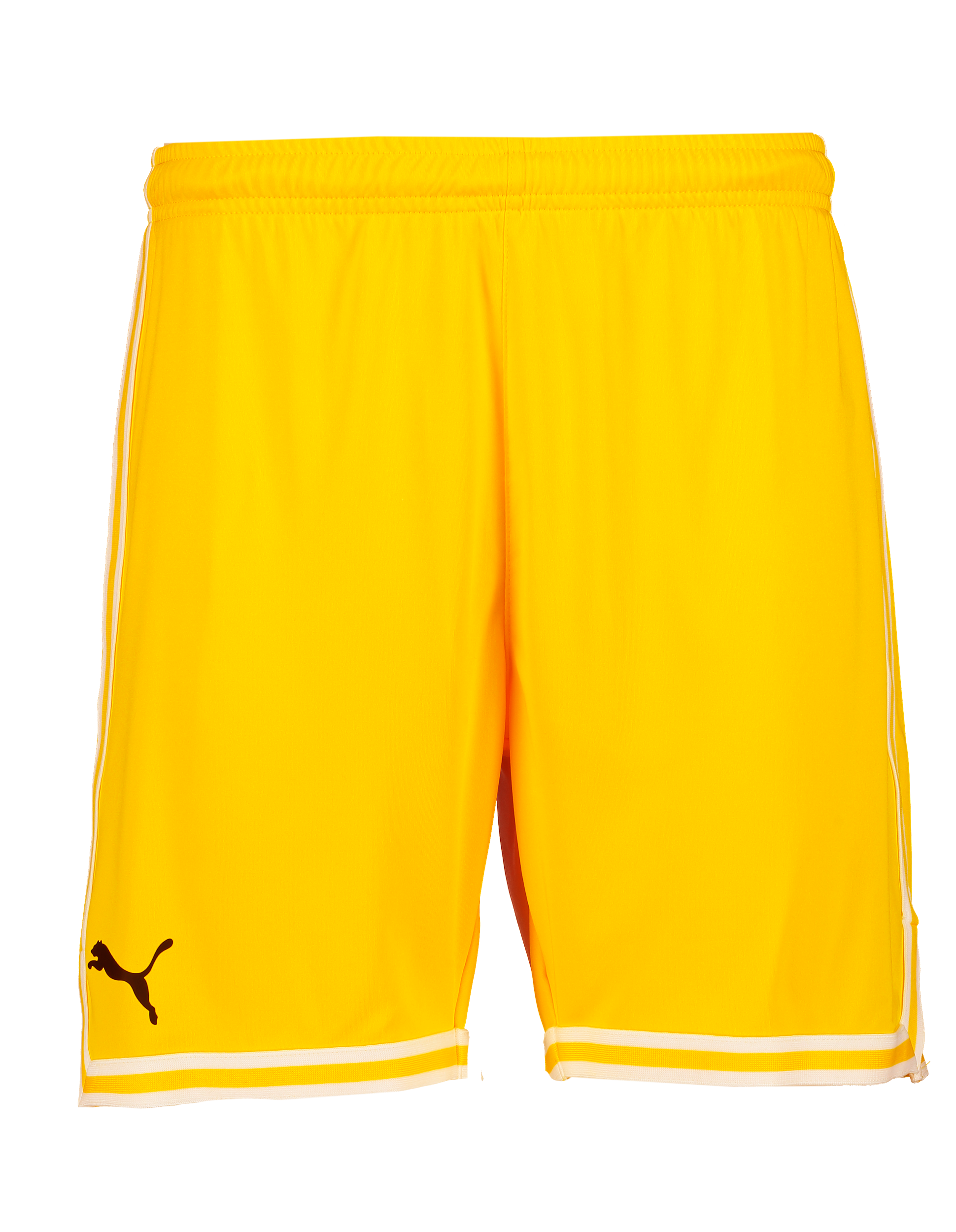 
PUMA, 
Hoops Team Game Short, 
Detail 1
