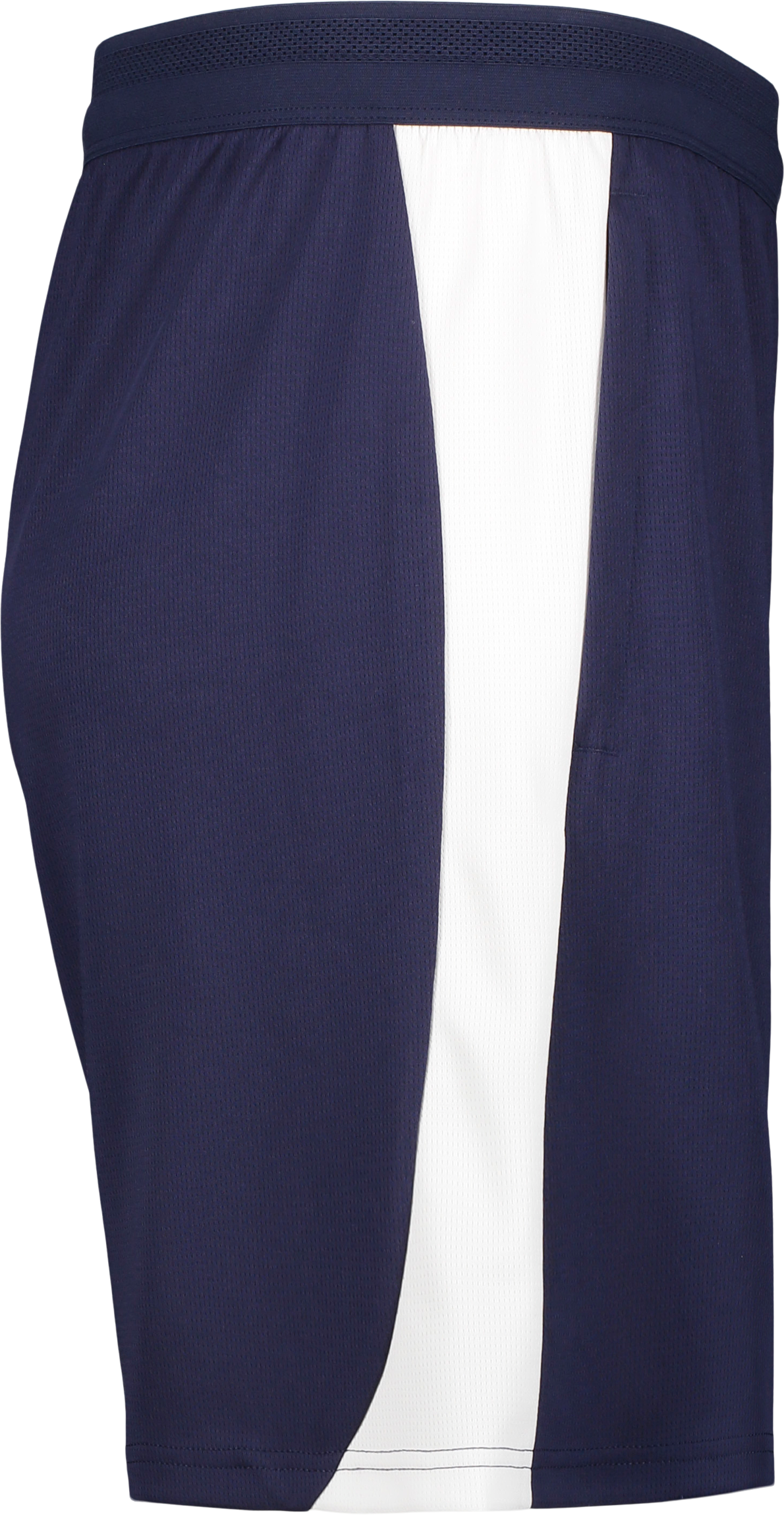 PUMA, TEAMFINAL26 TRAINING SHORTS