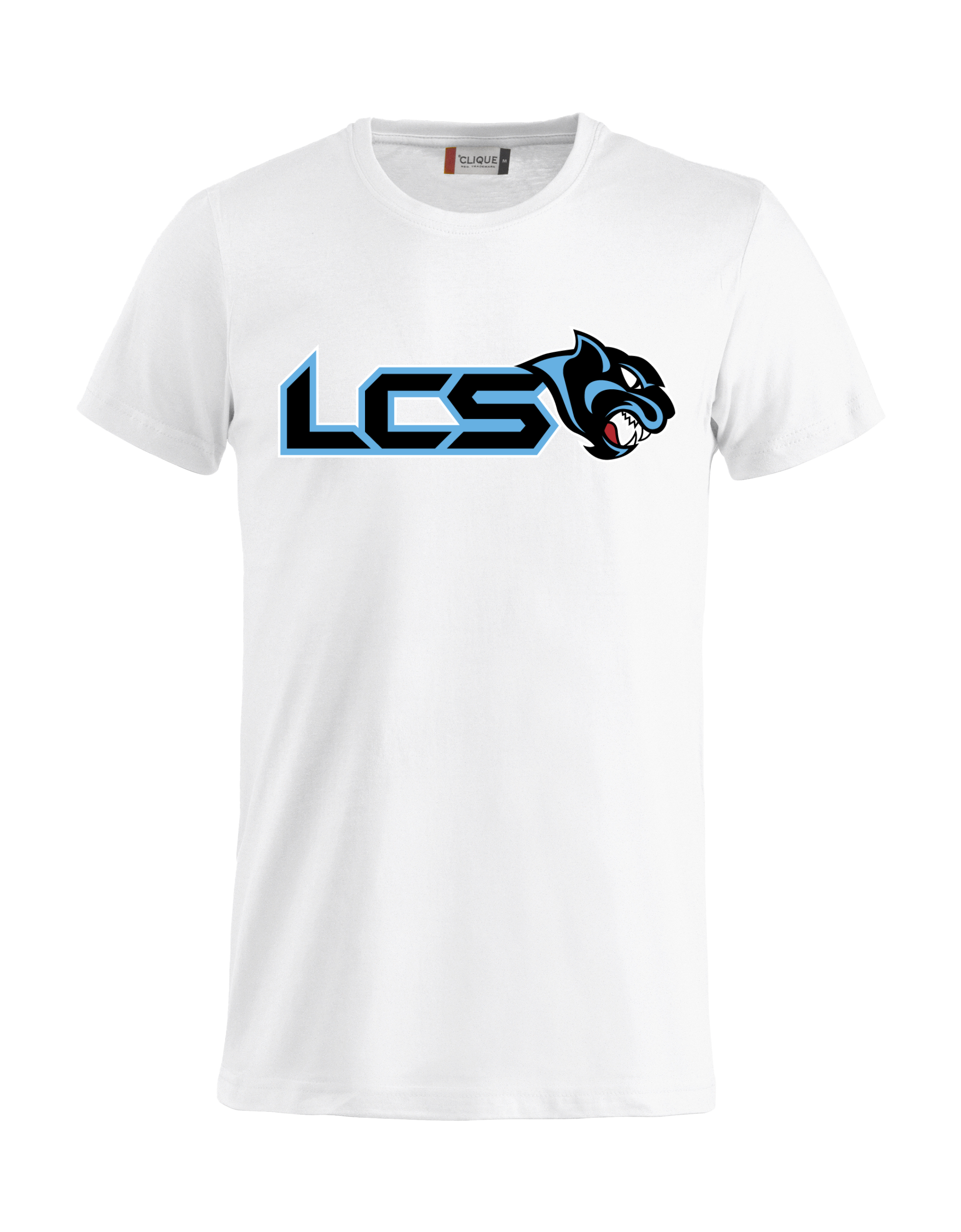 
CLIQUE, 
Basic-T, 
Detail 1
