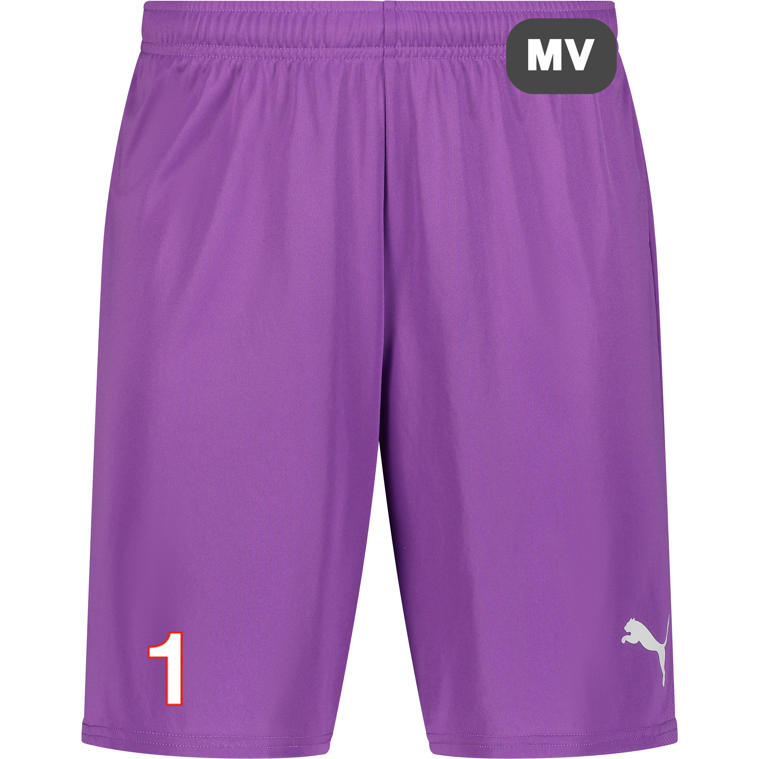 
PUMA, 
T Goal Shorts, 
Detail 1
