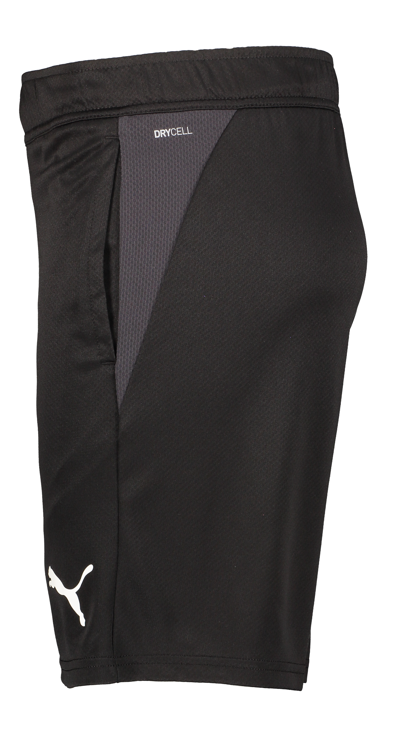 PUMA, T Goal Trg Short